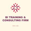 BI Training and Consulting Firm, Ohio