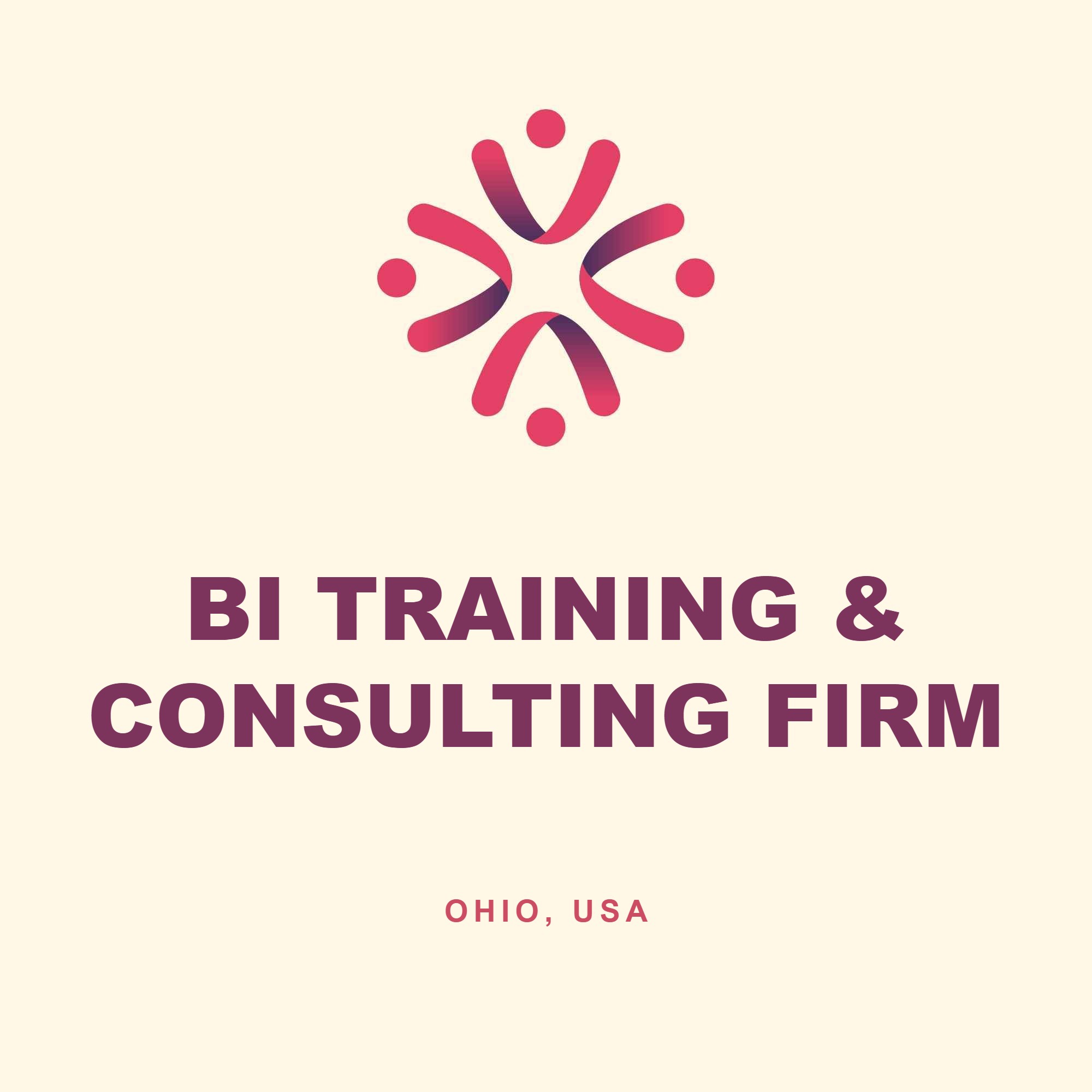 BI Training and Consulting Firm, Ohio case study