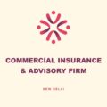 Commercial Insurance and Advisory Firm, New Delhi