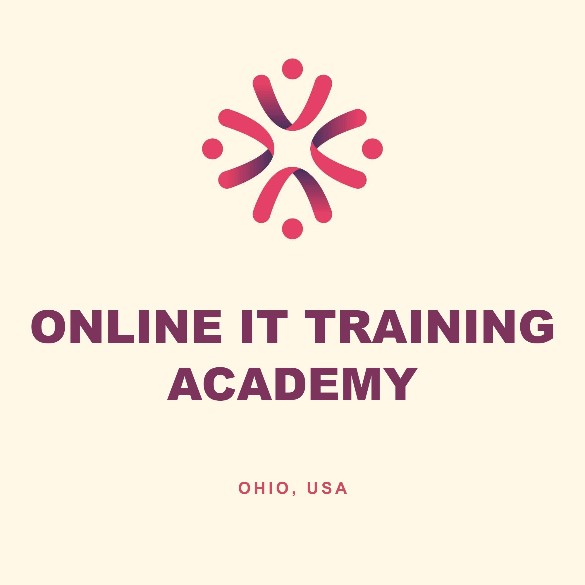 Online IT Training Academy, Ohio case study