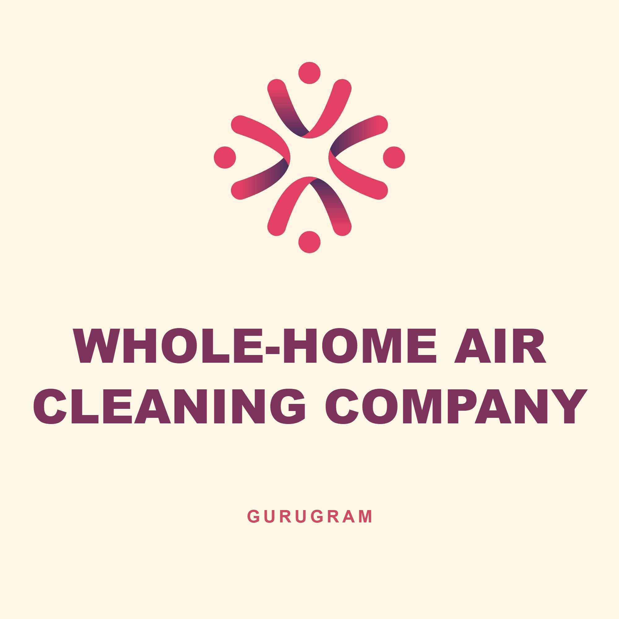 Whole-Home Air Cleaning Company, Gurugram case study